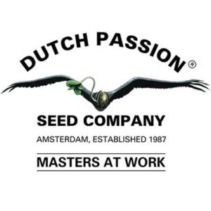 Dutch Passion Company